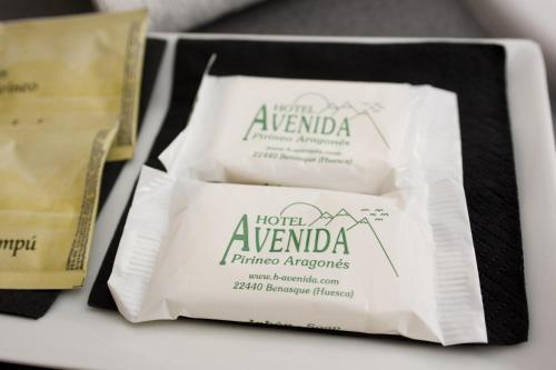 Hotel Avenida Benasque Ngoại thất bức ảnh