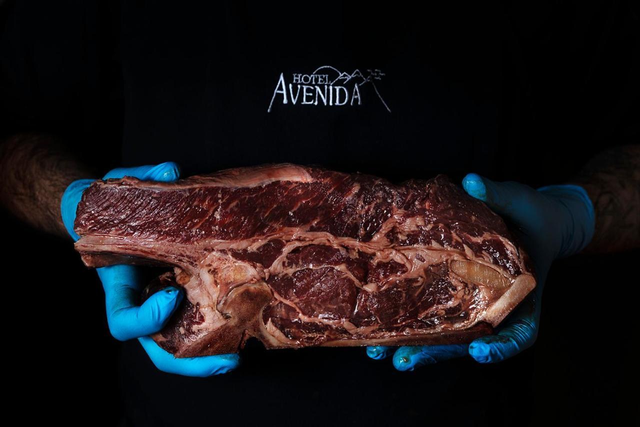 Hotel Avenida Benasque Ngoại thất bức ảnh